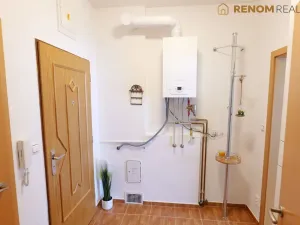 Prodej bytu 1+kk, Olomouc, Rooseveltova, 46 m2