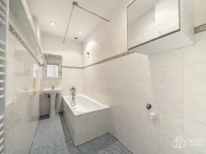 Prodej vícegeneračního domu, Svatava, Pobřežní, 260 m2