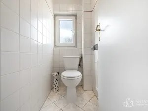 Prodej vícegeneračního domu, Svatava, Pobřežní, 260 m2
