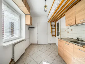 Prodej vícegeneračního domu, Svatava, Pobřežní, 260 m2