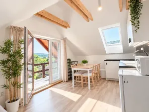 Pronájem bytu 2+kk, Bříství, 45 m2