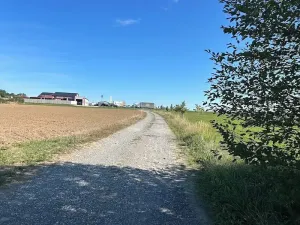 Prodej komerčního pozemku, Zhoř u Tábora, 11995 m2