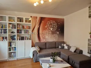 Prodej bytu 2+1, Ostrava - Hrabová, Obchodní, 54 m2