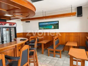 Pronájem restaurace, Otrokovice, K. H. Máchy, 165 m2