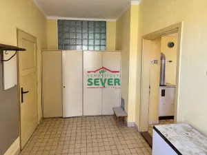 Prodej rodinného domu, Křesín - Levousy, 241 m2