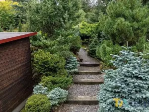 Prodej pozemku pro bydlení, Orlová, U Vodojemu, 2132 m2