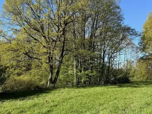 Prodej pozemku, Čížkov, 20250 m2