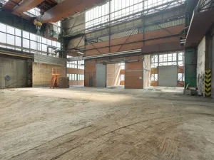 Prodej výrobních prostor, Ostrava, 9648 m2