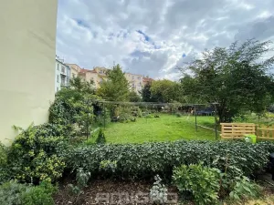 Pronájem bytu 2+kk, Brno, Obilní trh, 46 m2