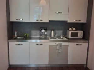 Pronájem bytu 2+kk, Praha - Vinohrady, Mánesova, 45 m2