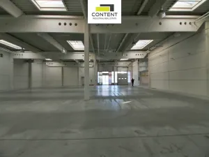 Pronájem obchodního prostoru, Liberec - Liberec VI-Rochlice, Doubská, 2058 m2
