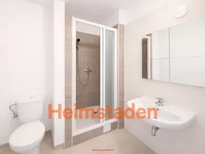 Pronájem bytu 1+1, Havířov - Město, Hlavní třída, 45 m2