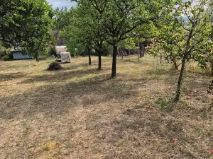 Prodej rodinného domu, Bukovany, 70 m2