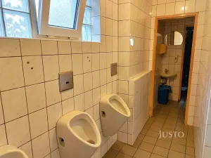 Prodej rodinného domu, Písek, Hradiště, 497 m2