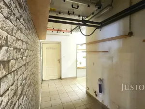Pronájem obchodního prostoru, Písek, V Koutě, 230 m2