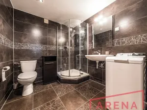 Pronájem bytu 1+kk, Brno, Žlutý kopec, 50 m2
