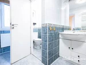 Pronájem rodinného domu, Brandýs nad Labem-Stará Boleslav - Stará Boleslav, Železná, 140 m2