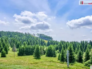 Prodej bytu 3+kk, Abertamy, Plešivecká, 60 m2
