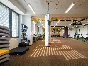 Pronájem kanceláře, Brno, Lazaretní, 150 m2