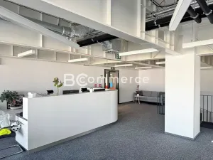 Pronájem kanceláře, Brno, Lazaretní, 570 m2