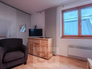 Pronájem bytu 3+kk, Vítkovice, 74 m2