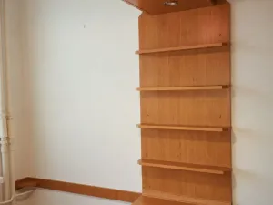 Prodej bytu 1+1, Ostrava, 29. dubna, 44 m2