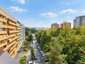 Prodej bytu 1+1, Ostrava, 29. dubna, 44 m2