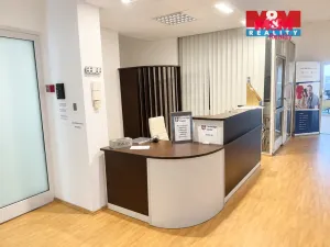 Pronájem kanceláře, Praha, Štúrova, 20 m2