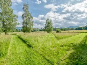 Prodej pozemku pro bydlení, Frenštát pod Radhoštěm, Lubina, 3674 m2