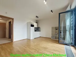 Pronájem bytu 1+kk, Praha - Žižkov, Olšanská, 40 m2