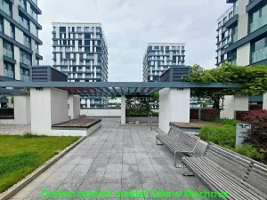 Pronájem bytu 1+kk, Praha - Žižkov, Olšanská, 40 m2
