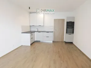 Pronájem bytu 1+kk, Plzeň - Jižní Předměstí, Železná, 38 m2