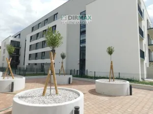 Pronájem bytu 1+kk, Plzeň - Jižní Předměstí, Železná, 38 m2