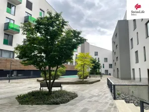 Pronájem bytu 2+kk, Plzeň - Východní Předměstí, Papírnická, 55 m2