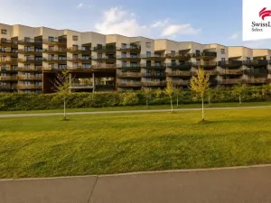 Pronájem bytu 2+kk, Plzeň - Východní Předměstí, Papírnická, 55 m2