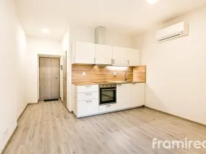 Pronájem bytu 1+kk, Brno, Hlinky, 20 m2