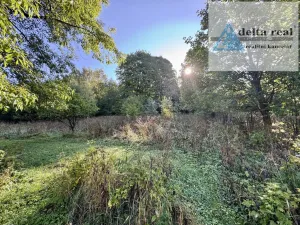 Prodej rodinného domu, Jindřichov - Nové Losiny, 90 m2