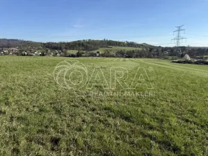 Prodej louky, Hostašovice, 101964 m2