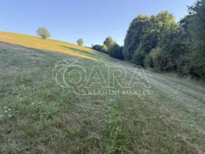 Prodej louky, Hostašovice, 101964 m2