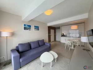 Prodej apartmánu, Dolní Morava, 40 m2