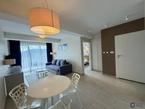 Prodej bytu 2+kk, Dolní Morava, 40 m2