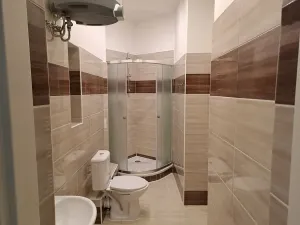 Pronájem bytu 1+1, Praha - Žižkov, Prokopova, 48 m2