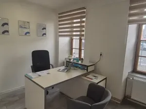 Prodej obchodního prostoru, Česká Lípa, Erbenova, 60 m2