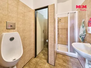 Pronájem výrobních prostor, Dubenec, 453 m2