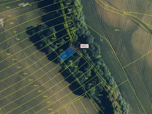 Dražba lesa, Výkleky, 195 m2
