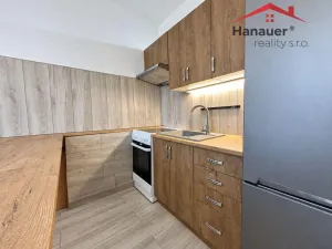 Pronájem bytu 1+1, Jílové - Kamenná, Mládeže, 36 m2