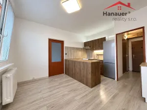 Pronájem bytu 1+1, Jílové - Kamenná, Mládeže, 36 m2