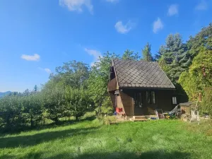Prodej chaty, Dolní Zálezly, 28 m2