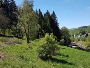 Prodej pozemku pro bydlení, Kraslice, 4558 m2
