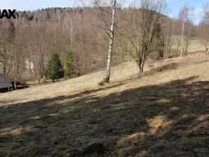 Prodej pozemku pro bydlení, Kraslice, 4558 m2